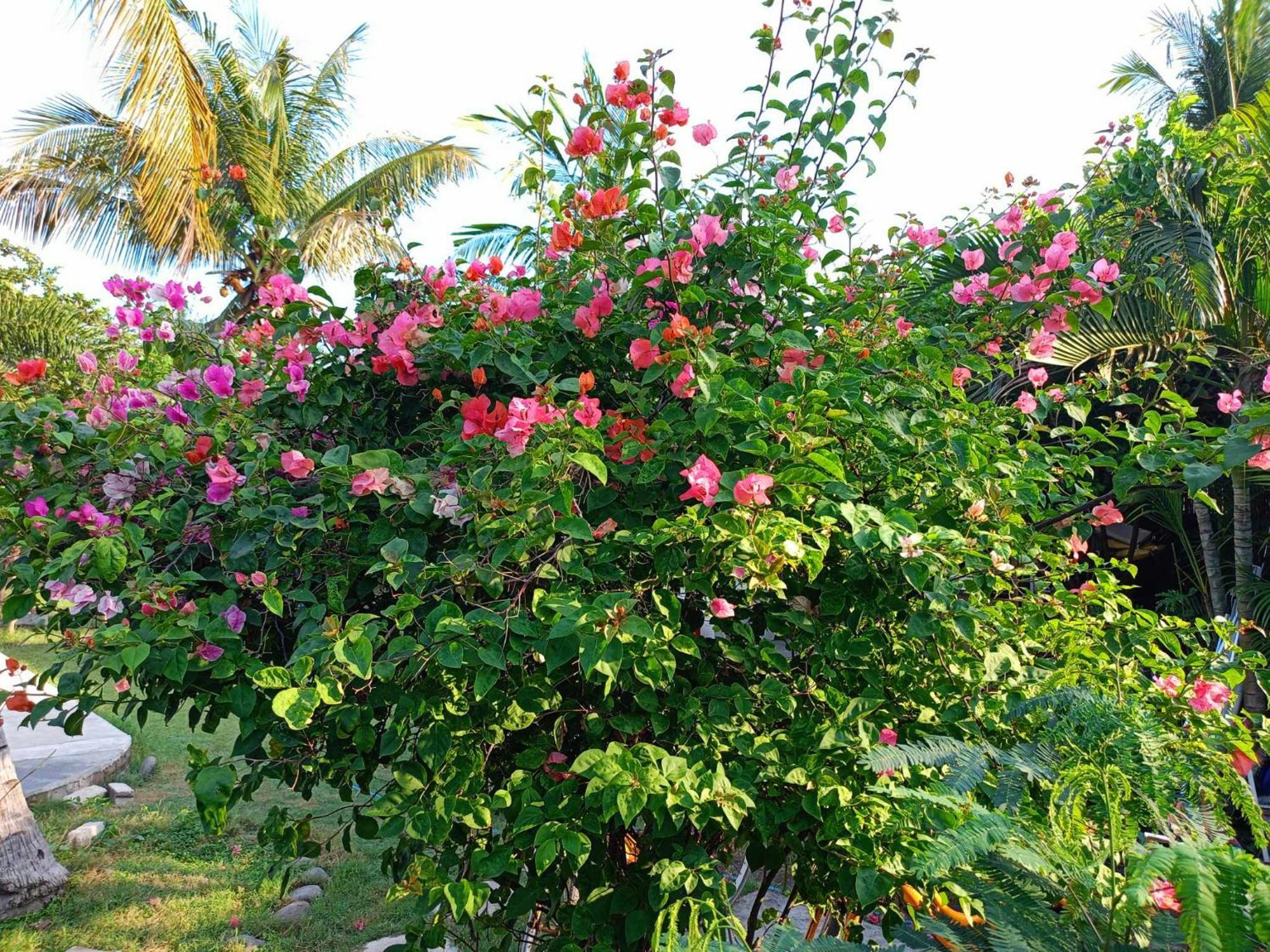 Bintang Tiga Bungalows Gili Air Luaran gambar